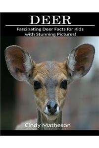 Deer: Fascinating Deer Facts for Kids with Stunning Pictures!