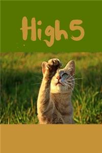High 5