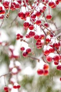 2019 Daily Planner Winter Berries Red White Christmas Colors Snowstorm 384 Pages