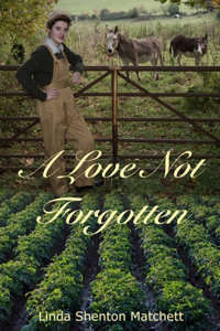Love Not Forgotten