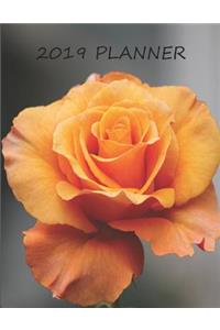 2019 Planner