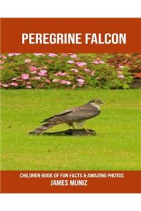 Peregrine Falcon: Children Book of Fun Facts & Amazing Photos
