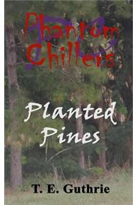 Planted Pines