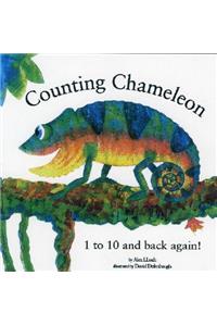 Counting Chameleon