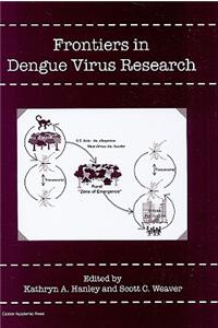 Frontiers in Dengue Virus Research