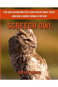 Screech Owl