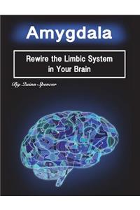 Amygdala