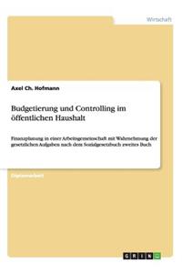 Budgetierung und Controlling im öffentlichen Haushalt
