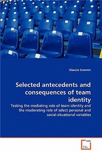 Selected antecedents and consequences of team identity