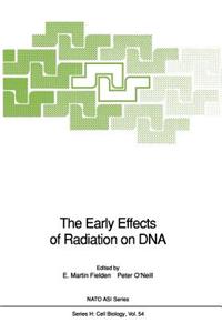 Early Effects of Radiation on DNA