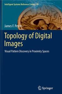 Topology of Digital Images