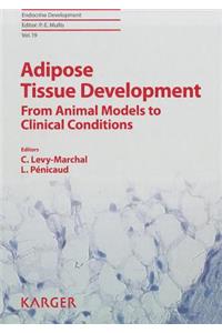 Adipose Tissue Development: From Animal Models to Clinical Conditions