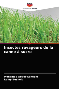 Insectes ravageurs de la canne à sucre