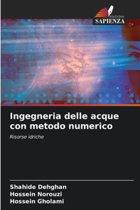 Ingegneria delle acque con metodo numerico