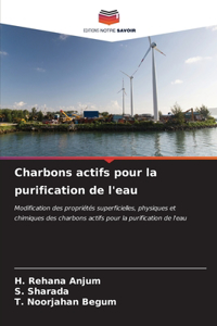 Charbons actifs pour la purification de l'eau