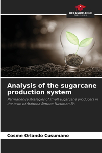 Analysis of the sugarcane production system