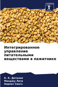 Интегрированное управление питательным&#