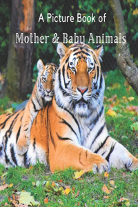 Picture Book of Mother & Baby Animals: A Beautiful Picture Book for Seniors With Alzheimer's or Dementia. A Great Gift for Elderly Parents and Grandparents!