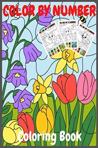 Color by number coloring book