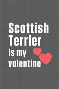 Scottish Terrier is my valentine