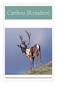 Caribou Reindeer: Individual Student Edition Silver (Levels 23-24)