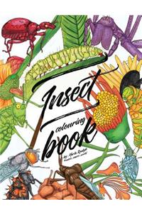 Insect colouring book