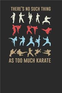 There's No Such Thing As Too Much Karate