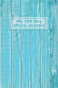 My 100 Day Micro Journal