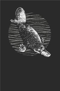 Platypus Drawing