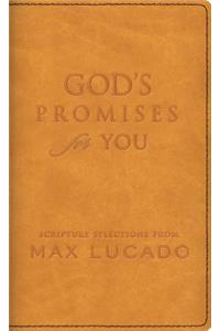 God's Promises for You