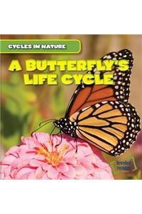 A Butterfly's Life Cycle