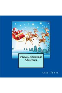 David's Christmas Adventure