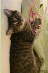 Malibu - Ralphie's Retreat Lined Blank Book 6x9