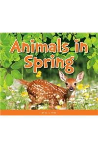 Animals in Spring