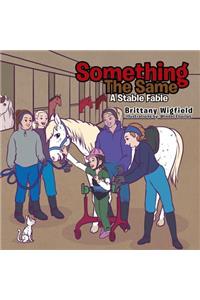 Something the Same
