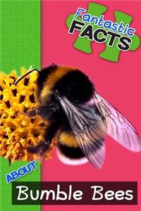 Fantastic Facts about Bumble Bees