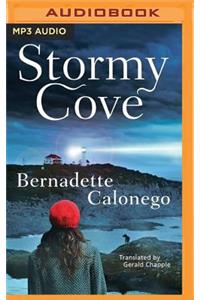 Stormy Cove