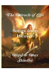 Miracle of Life