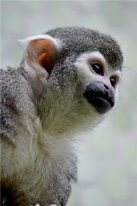 A Squirrel Monkey Portrait Journal