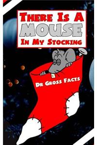 There Is a Mouse in Your Stocking