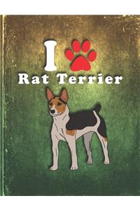 Rat Terrier