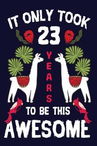 It only Took 23 Years To Be This Awesome