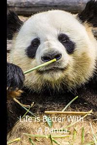 Life is Better With A Panda