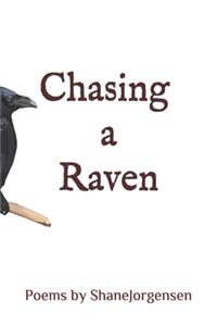 Chasing a Raven