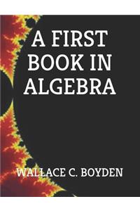 A First Book in Algebra