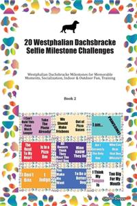 20 Westphalian Dachsbracke Selfie Milestone Challenges