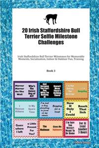 20 Irish Staffordshire Bull Terrier Selfie Milestone Challenges