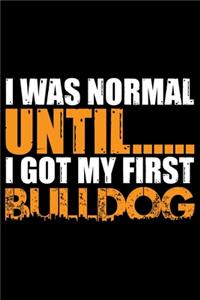 I Was Normal Until I Got My First Bulldog
