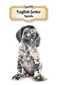 2020 English Setter Agenda