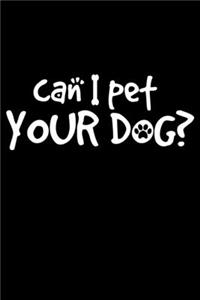 Can I Pet Your Dog